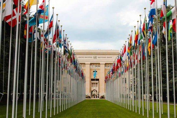 How to Work at the United Nations: Careers, Requirements & Application Guide