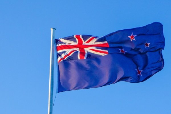 Working Holiday vs Student Visa in New Zealand: Key Differences & Which to Choose